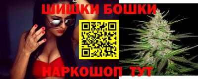 молекула духа Будённовск