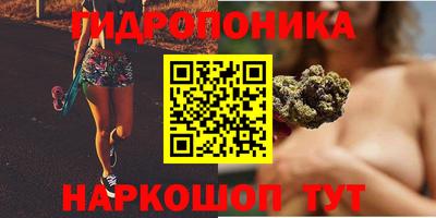 молекула духа Будённовск