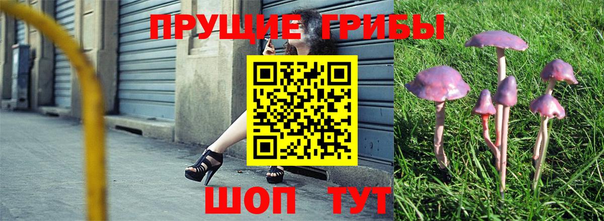 Элиста  Галлюциногенные грибы GOLDEN TEACHER  Вход с VPN 