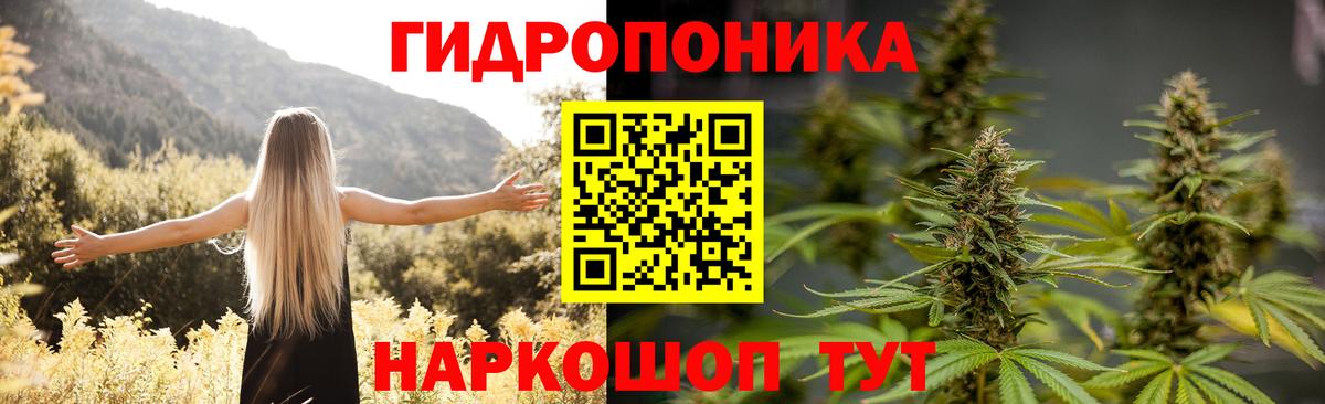 Бошки марихуана THC 21% Элиста